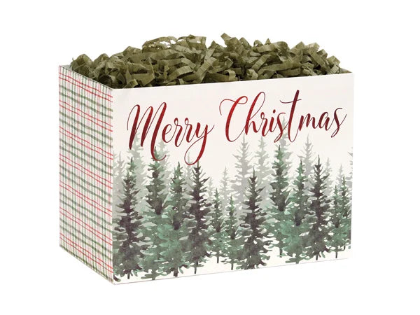 Evergreen Christmas