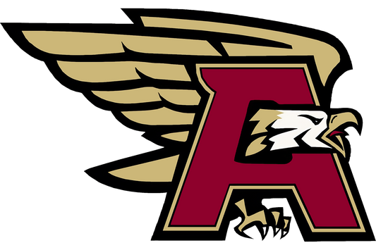 Maroon and Gold Team 🏀 🏈 ⚾️ 🏒 ⚽️ Gourmet Popcorn