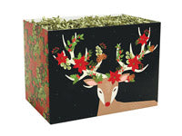 Christmas Reindeer